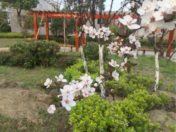 環(huán)境風(fēng)采測(cè)試02